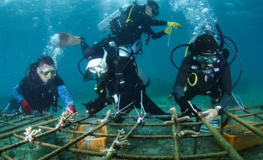 海滩度假胜地逃脱